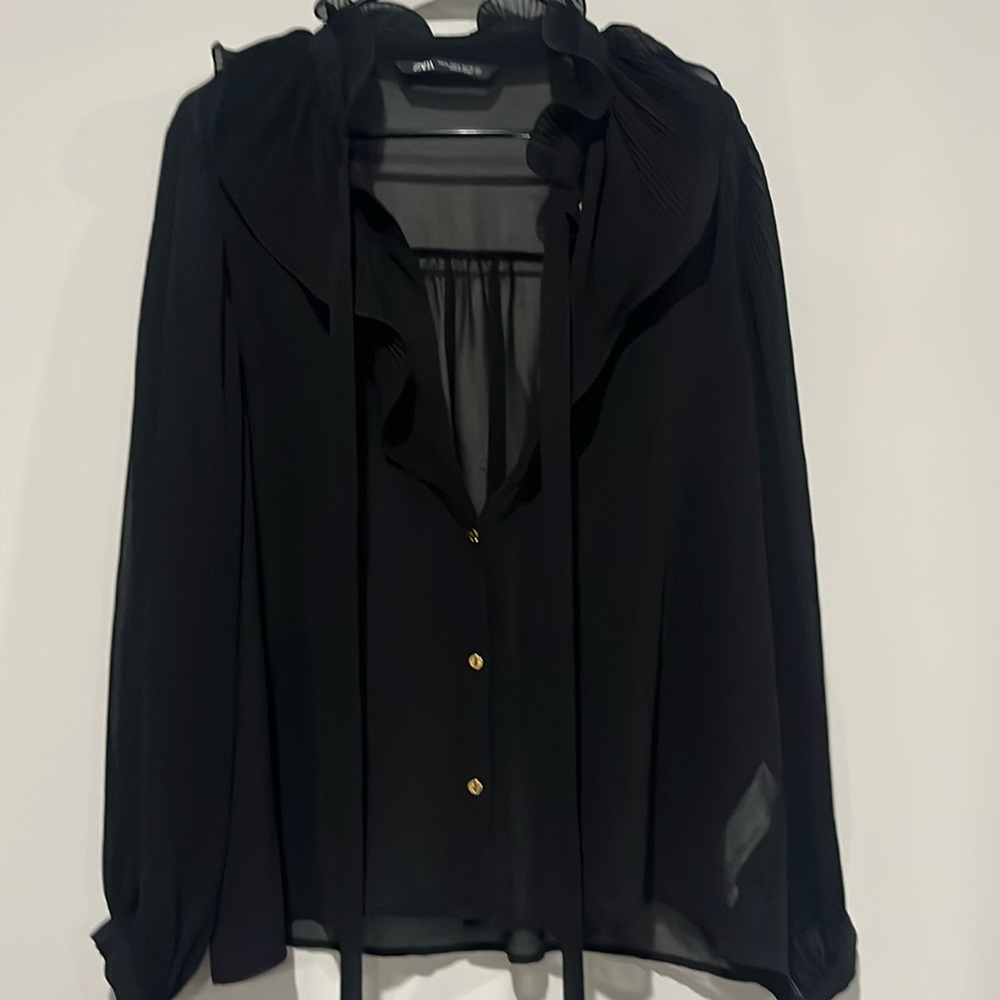Sheer Zara top only worn once!